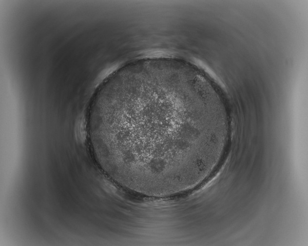 X0000115551213200911061526
