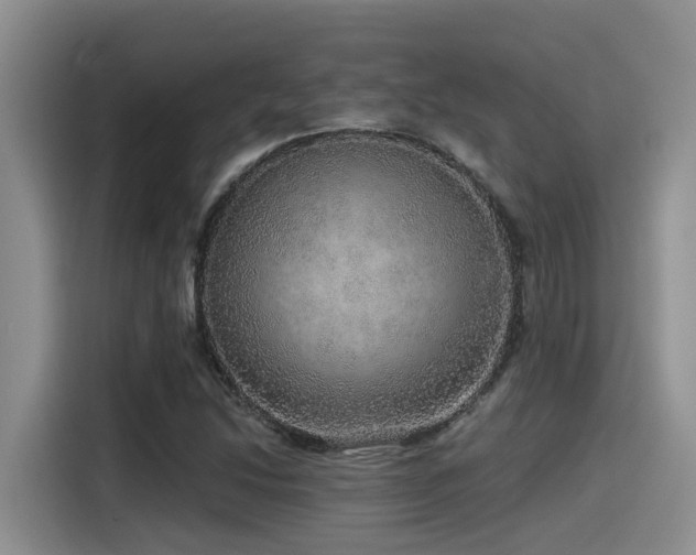 X0000115551214200911061526