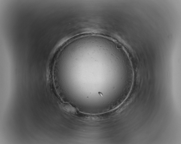 X0000115551215200911061526