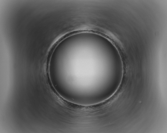 X0000115551216200911061526