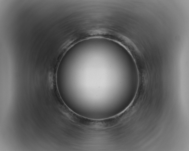 X0000115551217200911061526