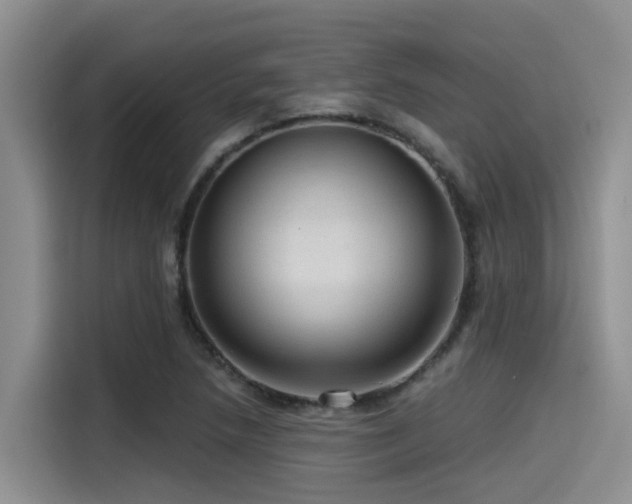 X0000115551218200911061526