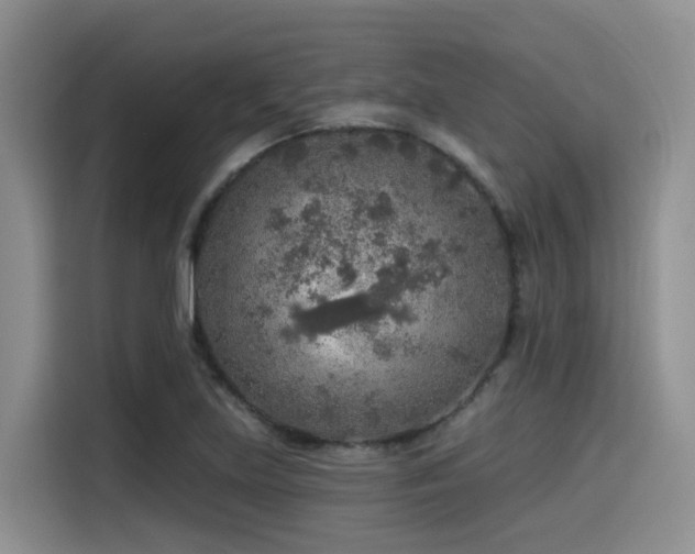 X0000115551219200911061526