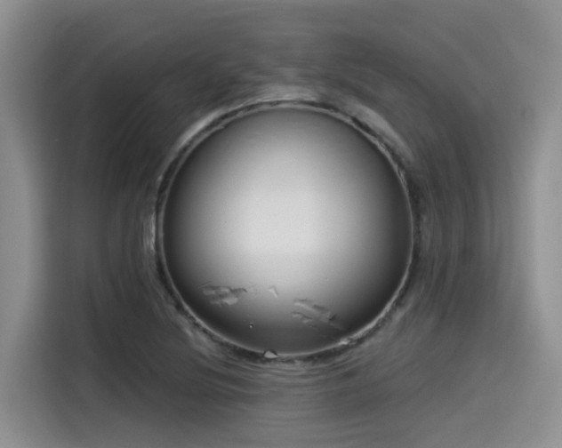 X0000115551220200911061526