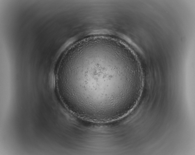 X0000115551221200911061526