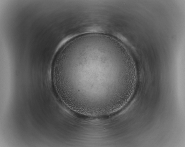 X0000115551222200911061526