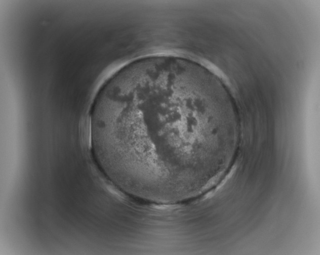 X0000115551223200911061526