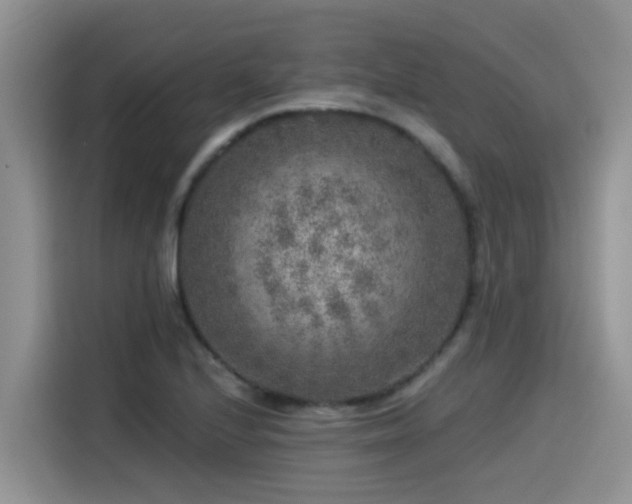 X0000115551224200911061526