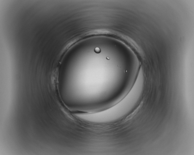X0000115551225200911061526