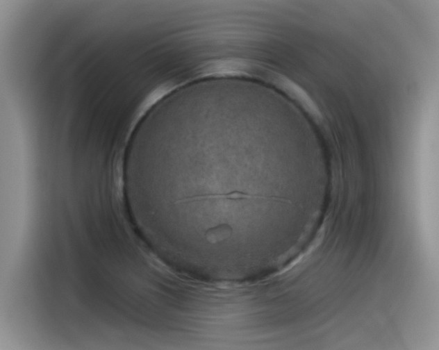 X0000115551226200911061526