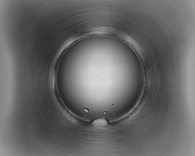 X0000115551227200911061526