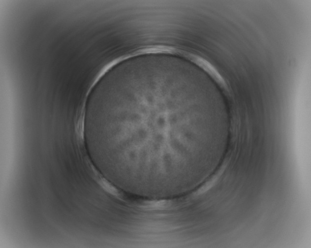 X0000115551228200911061526