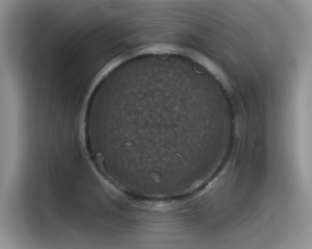 X0000115551229200911061526