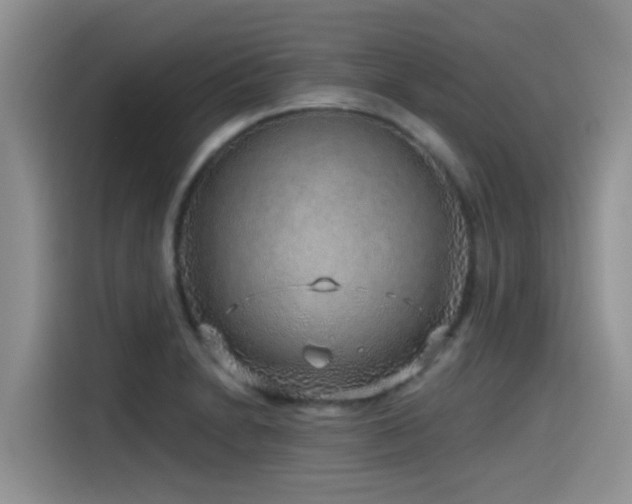 X0000115551230200911061526