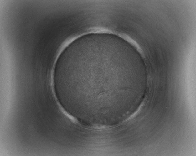 X0000115551231200911061526