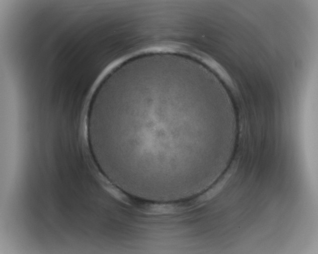 X0000115551232200911061526