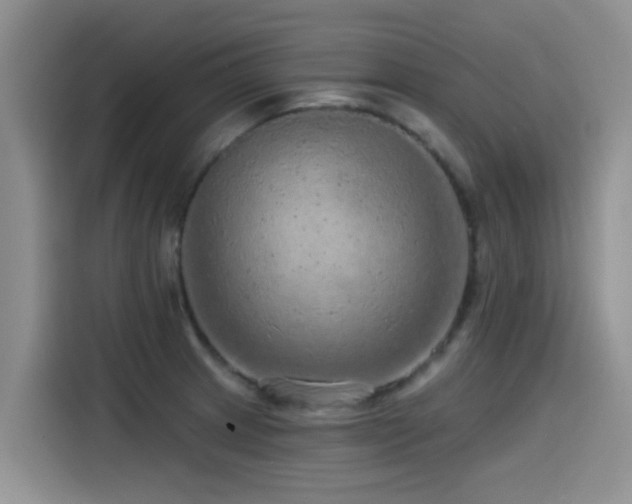 X0000115551233200911061526