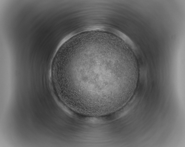 X0000115551234200911061526