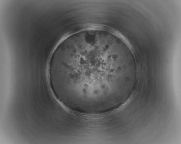 X0000115551235200911061526
