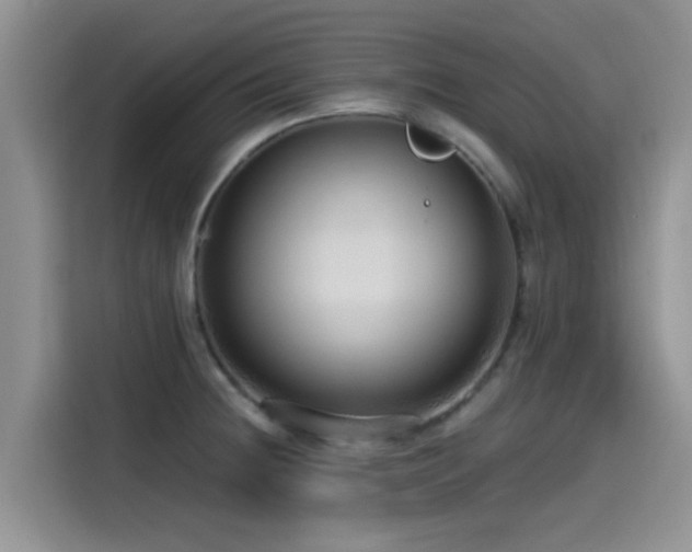X0000115551236200911061526
