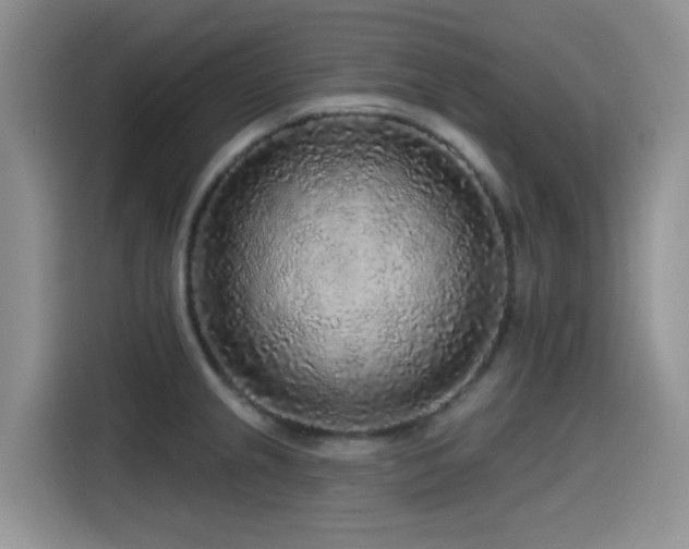 X0000115551237200911061526