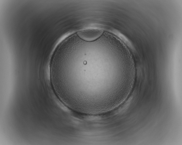 X0000115551238200911061526