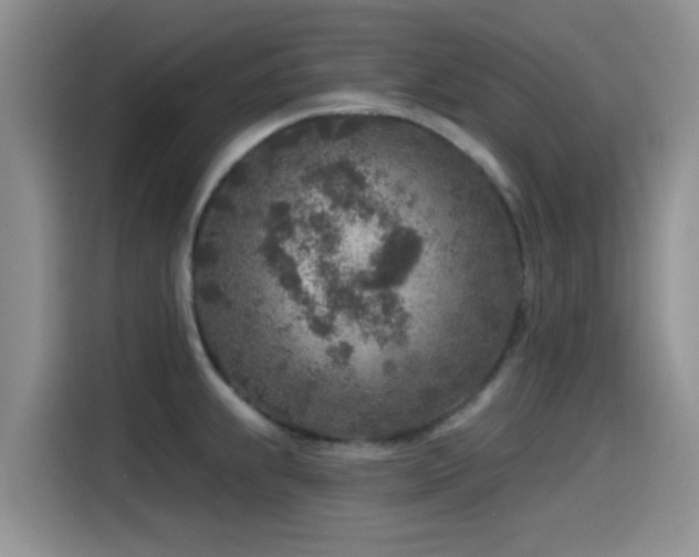 X0000115551239200911061526