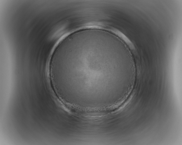 X0000115551240200911061526