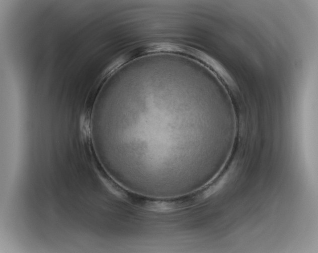 X0000115551241200911061526