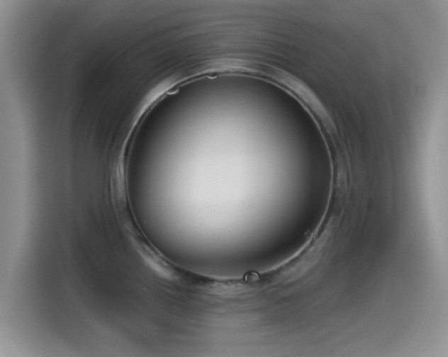 X0000115551242200911061526