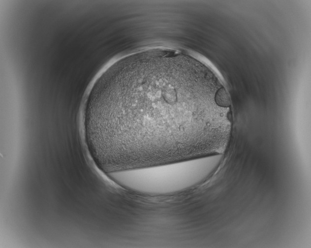 X0000115551243200911061526