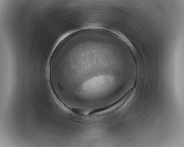X0000115551246200911061526