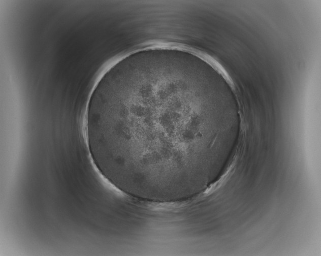 X0000115551247200911061526