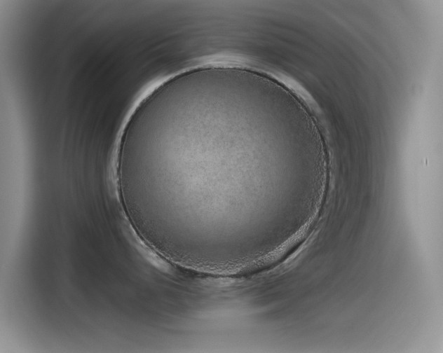 X0000115551248200911061526