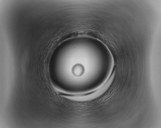 X0000115551249200911061526