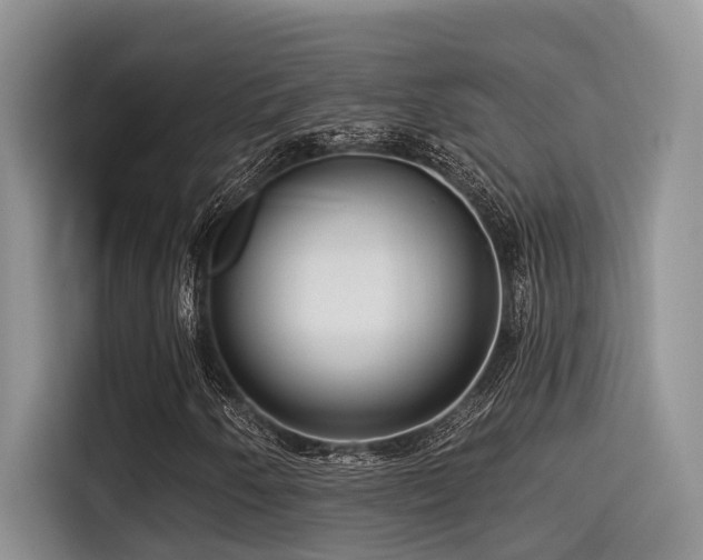 X0000115551250200911061526