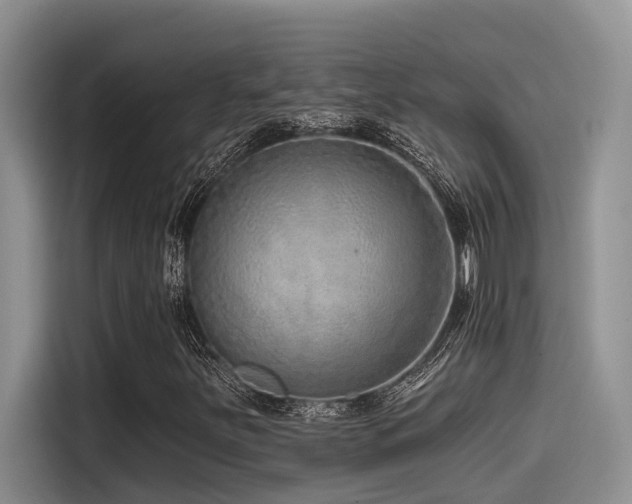 X0000115551251200911061526