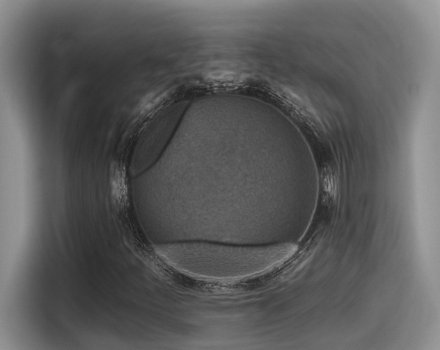 X0000115551252200911061526