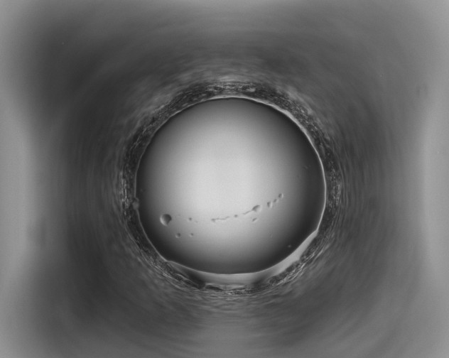 X0000115551253200911061526