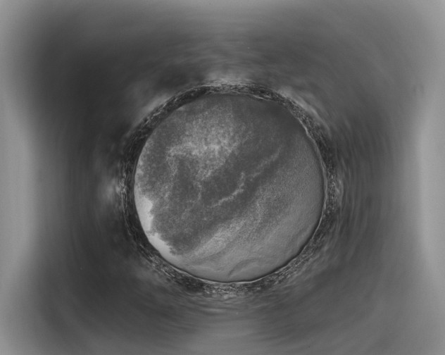 X0000115551254200911061526