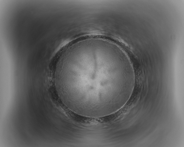 X0000115551255200911061526