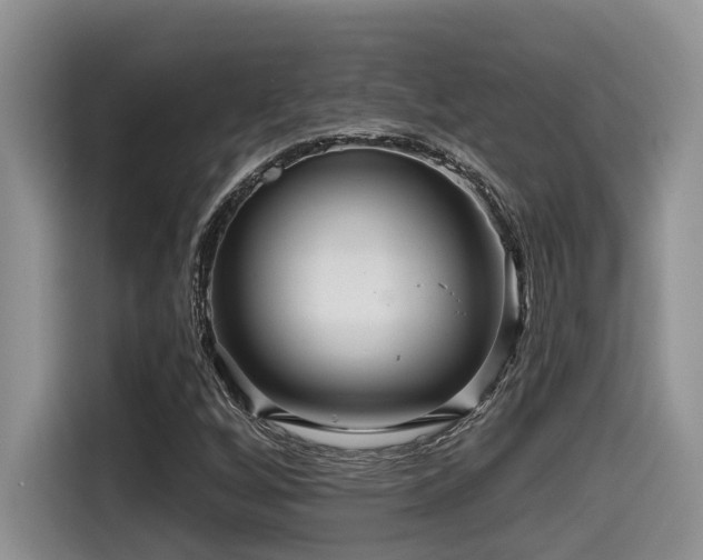 X0000115551256200911061526