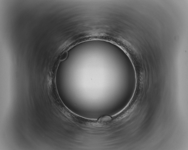 X0000115551257200911061526