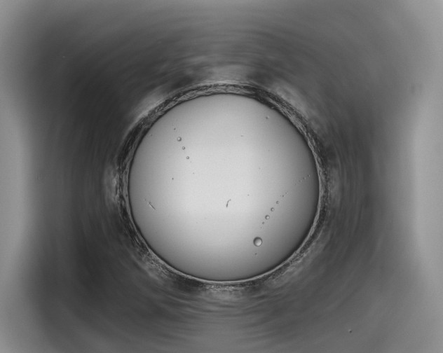 X0000115551258200911061526