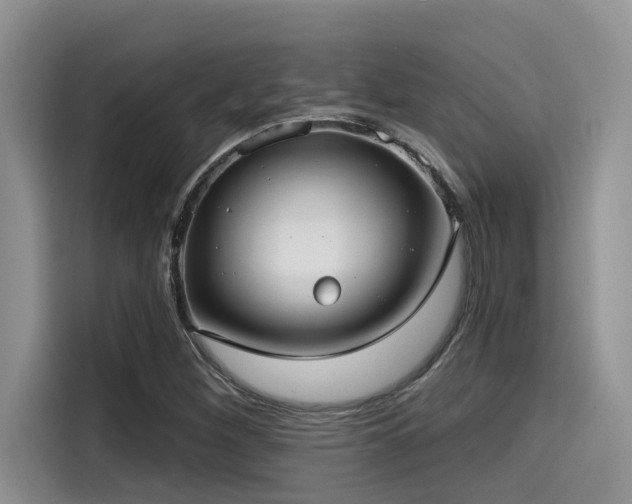 X0000115551260200911061526