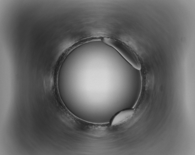 X0000115551261200911061526
