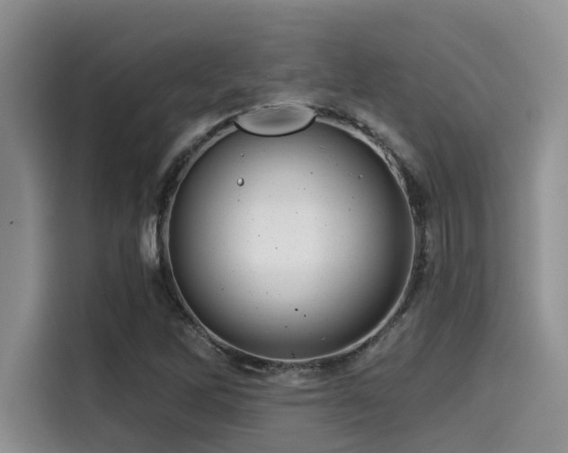 X0000115551262200911061526