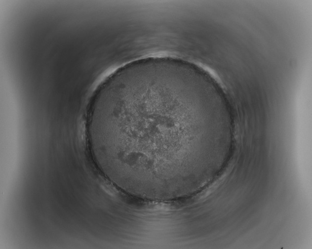 X0000115551263200911061526