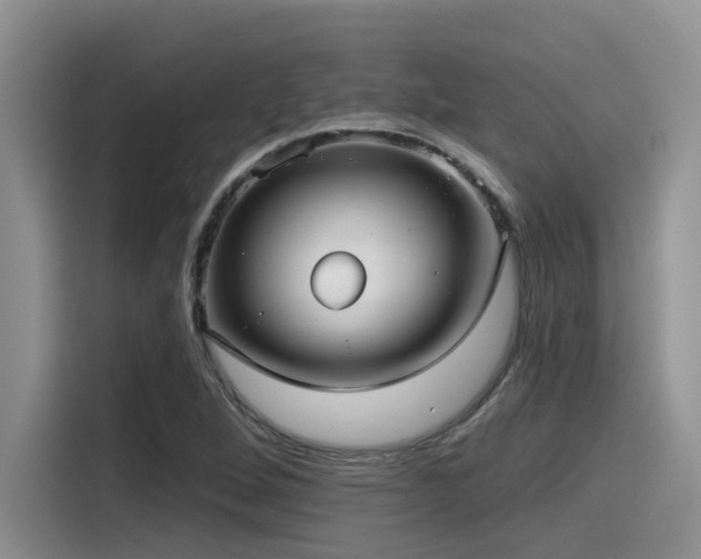 X0000115551264200911061526