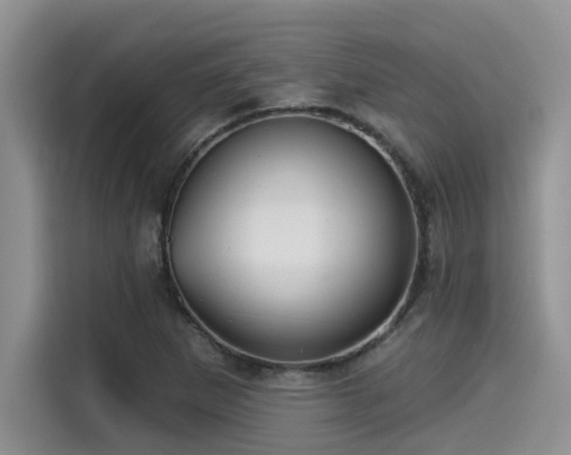 X0000115551265200911061526